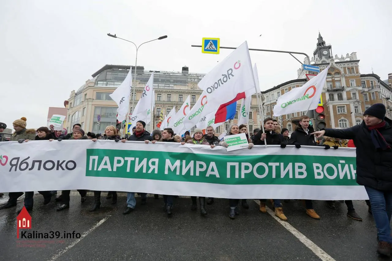 Регистрация федерального списка «Яблока» объясняют как способ аккумулировать протестные настроения — при этом многие известные политики партии не допущены к выборам. Для недовольных голосование остаётся одной из немногих легальных форм выражения позиции.
