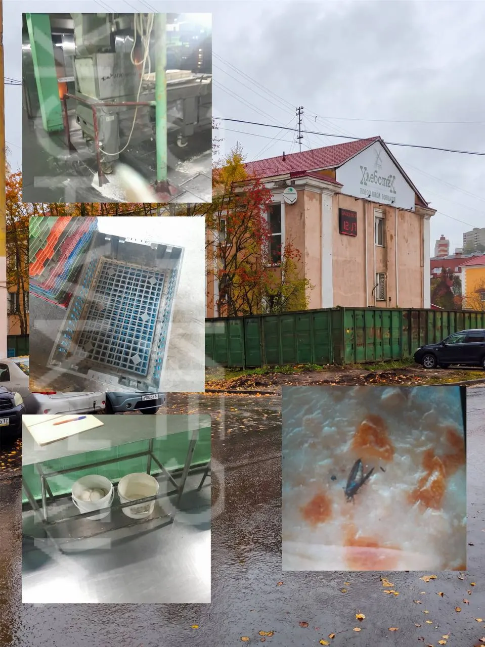 Сотрудники объясняют, что зарплаты, отпускные и больничные задерживаются, а руководство обещает выплаты в ближайшее время.