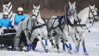 Помощник президента Владимир Мединский выступил с инициативой признать скачки на лошадях в упряжке — «русскую тройку» — национальным видом спорта, отметив её историческое значение и символичность для России.