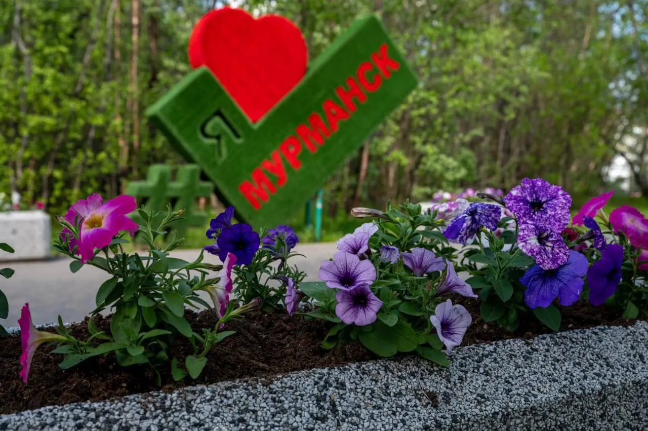 В Мурманске запланировано высадить 175 480 растений на 54 объектах. В 2025 году город вывез тысячи кубометров мусора и десятки тонн автомобильных покрышек.