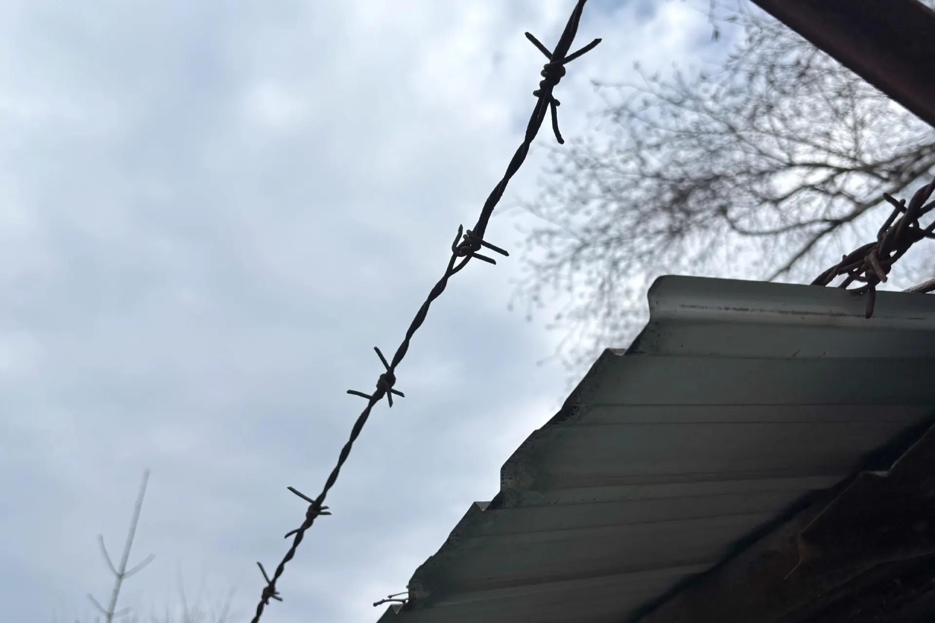 Женщину задержали по подозрению в убийстве сожителя —, по данным следствия, она нанесла ему несколько ножевых ранений в голову; суд поместил её в следственный изолятор.