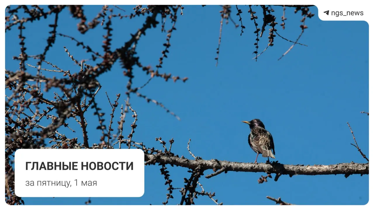 В детской спортивной школе в Татарске обрушился потолок — пострадавших нет. Также в выпуске: поезд из старых вагонов на Дзержинской ветке, сроки включения фонтана в Центральном парке, первомайское шествие и погром на площади Маркса.