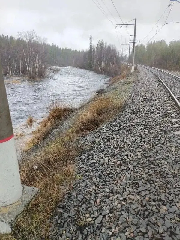 По данным оперштаба, из‑за обильных осадков уровень воды в реке Кола растёт: к утру 18 мая прогнозируется 320–330 см. В Кидьдинстрое укладывают дамбу, службы ведут мониторинг и расчистку водосливов.