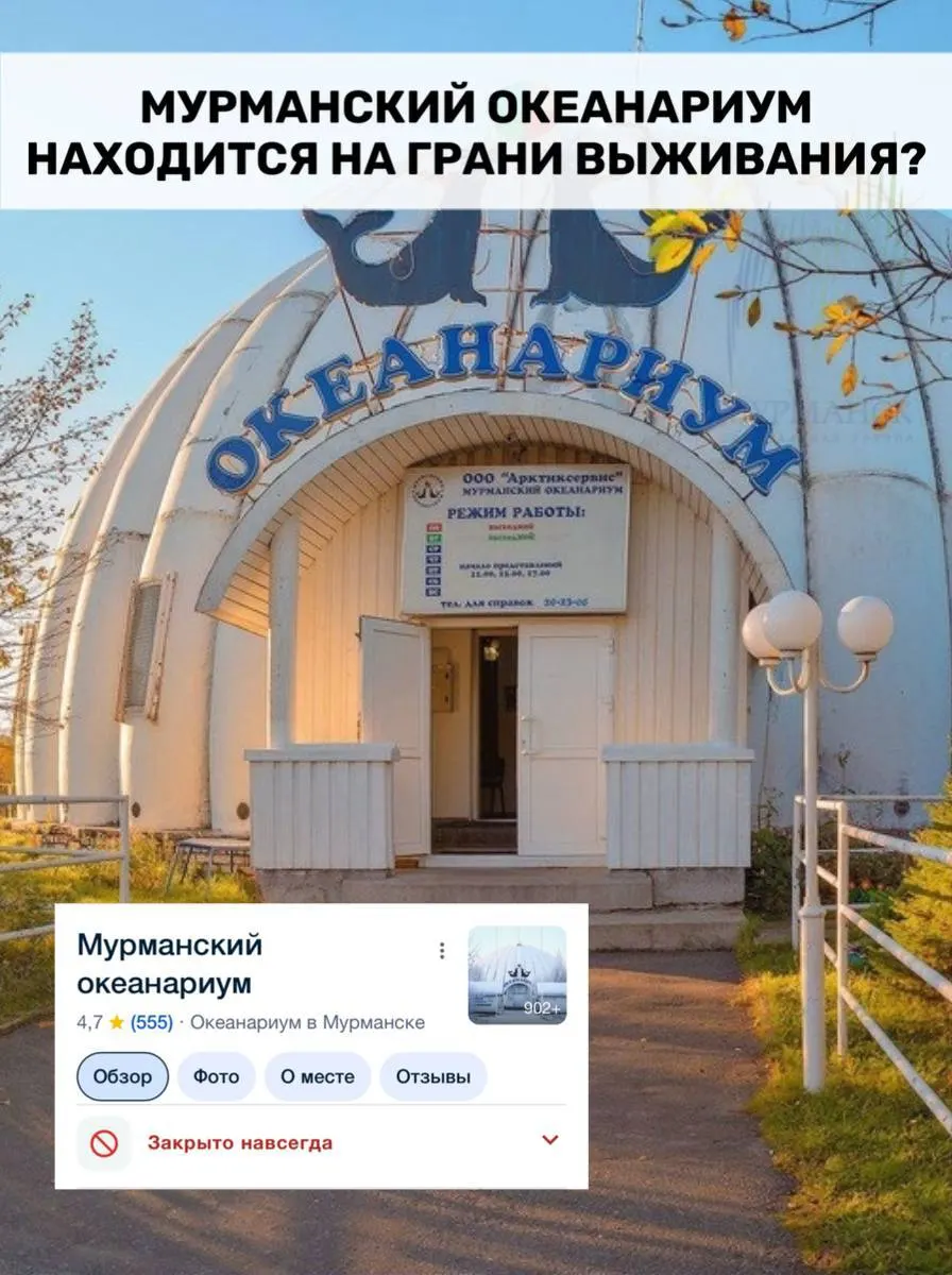 Арбитраж рассматривает иск Мурманскводоканала о взыскании более 723 тыс. руб. с океанариума; ранее с учреждения уже списали свыше 2 млн руб., сотрудники жалуются на задержки зарплат, а суд рассматривает возможность изъятия земли.