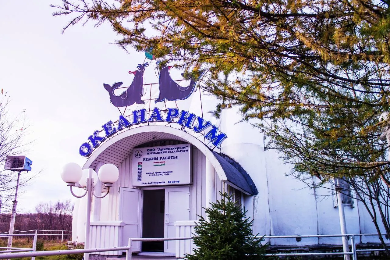 Около десяти сотрудников присматривают за морскими млекопитающими в закрытом на ремонт мурманском океанариуме, но им не платят зарплату уже 110 дней. Владелец находится в СИЗО, работники обратились в прокуратуру и надеются на помощь властей.