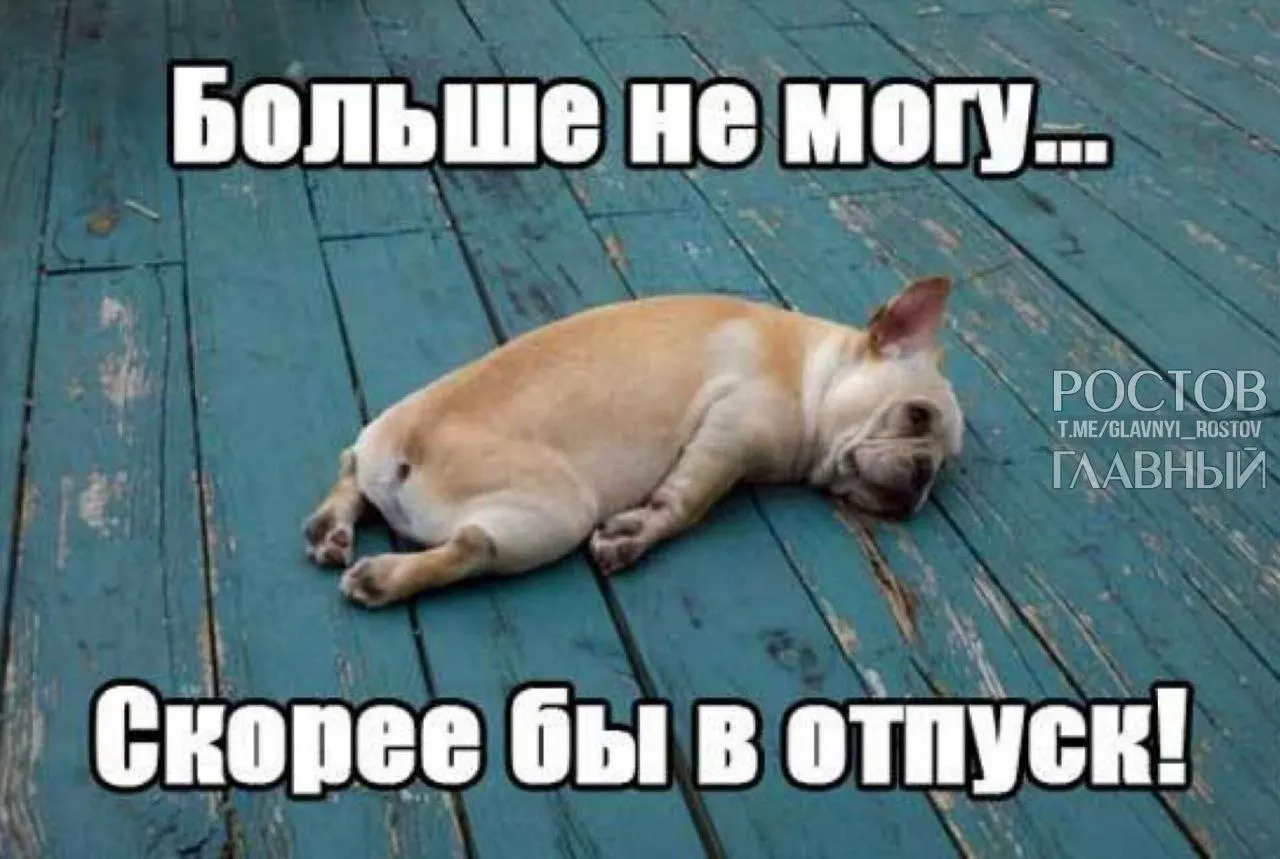 В Госдуме обсуждается инициатива увеличить минимальную продолжительность ежегодного отпуска с 28 до 35 дней — чтобы компенсировать выходные, включаемые в отпуск, и снизить риск профессионального выгорания.