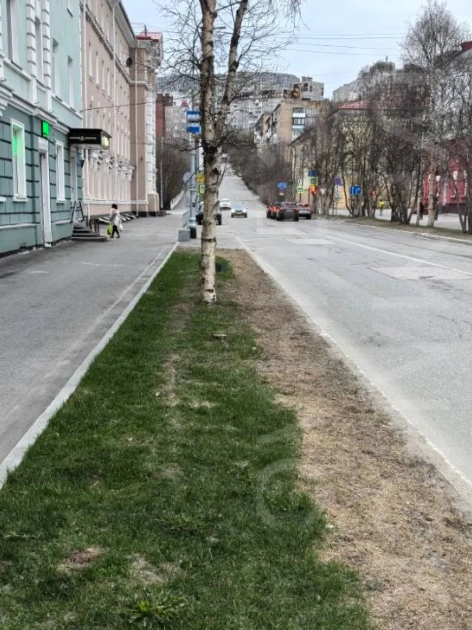 Ухоженные газоны в центре города вымерли полосами: массовое использование противогололедных реагентов этой зимой привело к гибели травяного покрова.