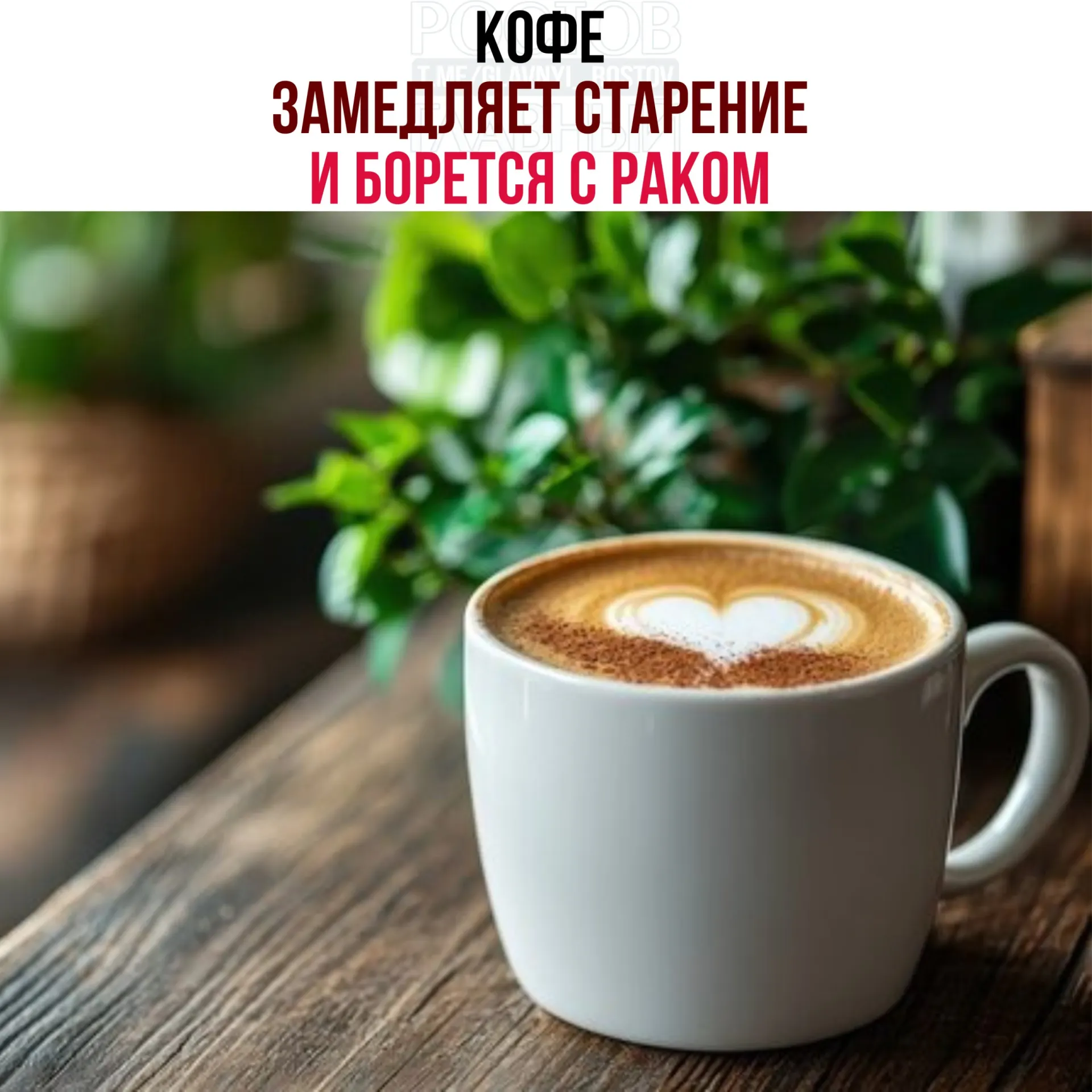 В зёрнах кофе обнаружены кислоты и полифенолы, которые усиливают активность белка NR4A1. Он запускает восстановительные процессы в клетках, снижает воспаление и замедляет рост опухолевых клеток.