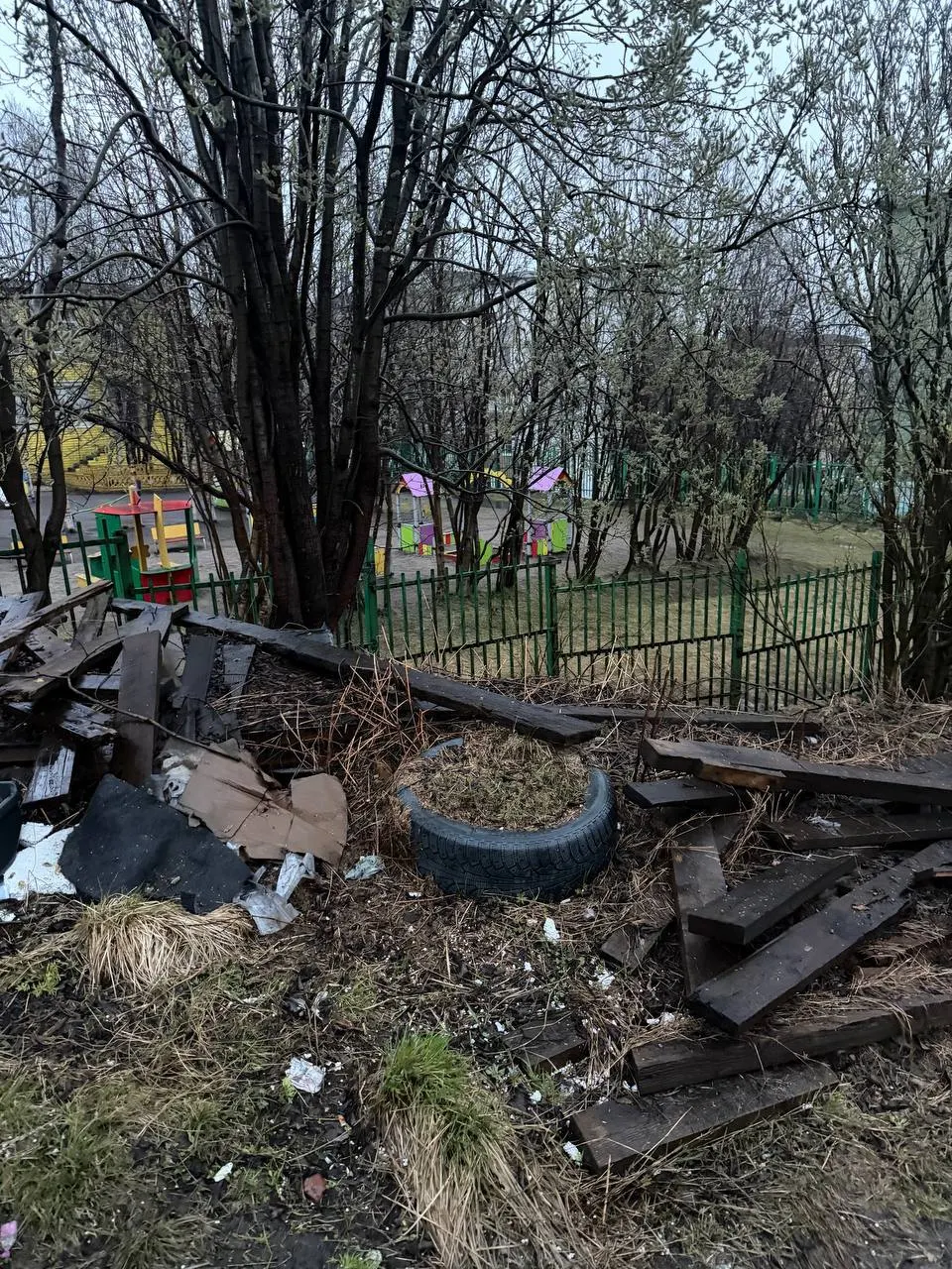 Возле детского сада №73 на улице Павлика Морозова в Мурманске образовалась свалка; местные обеспокоены грызунами, блохами и риском пожара.