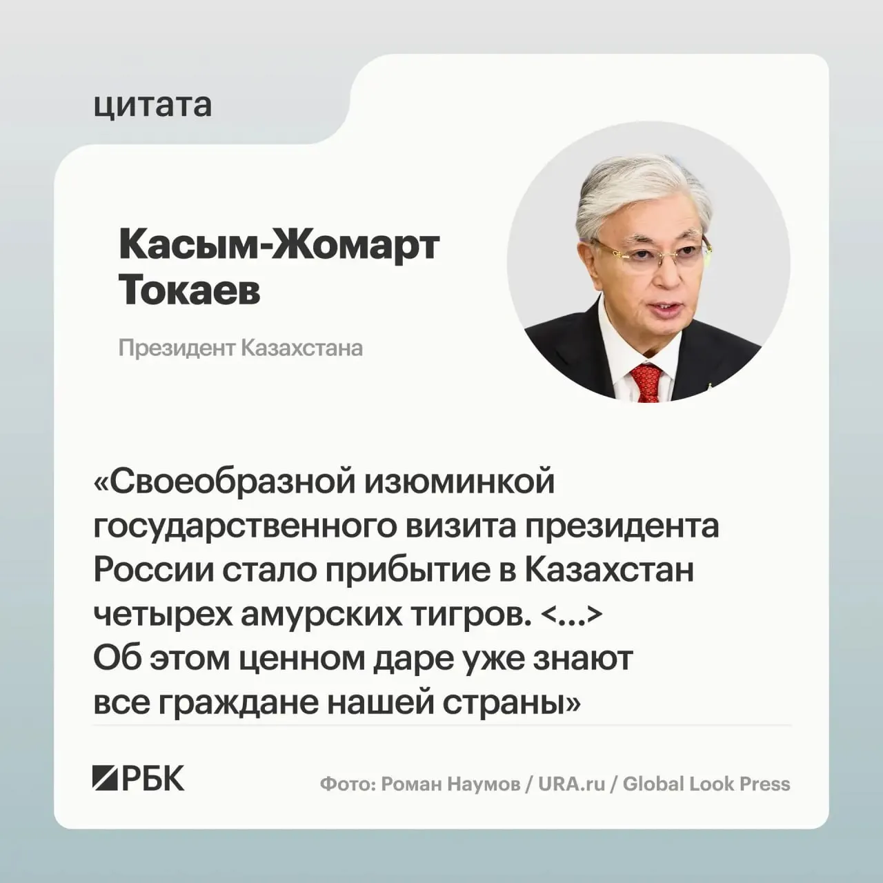 Казахстан обратился к России за помощью в восстановлении популяции амурского тигра — Москва откликнулась и передала в Астану семью животных.