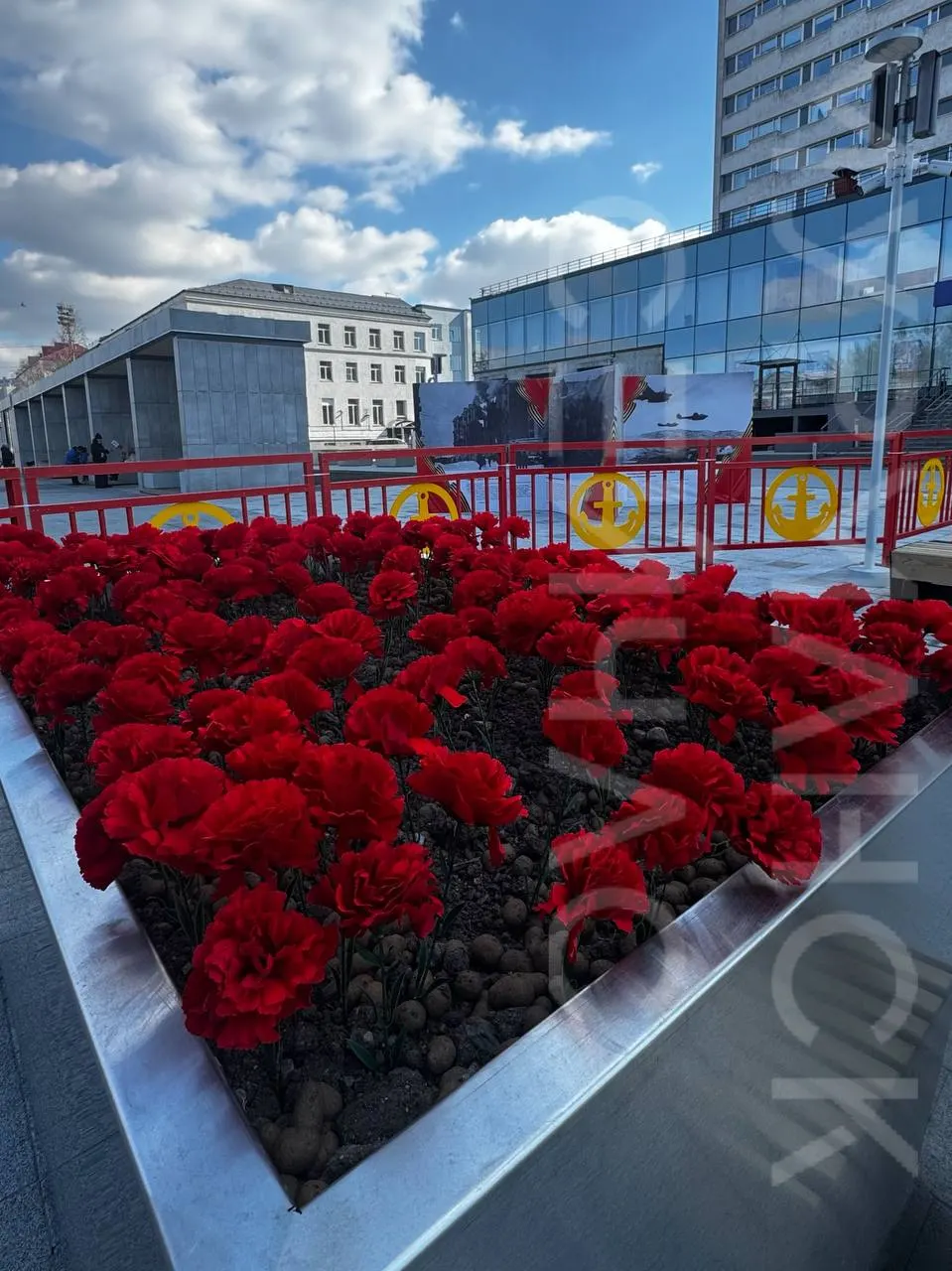 Клумбы с красными искусственными гвоздиками оформили к концерту в честь Дня Победы — они появились на улице Ленинградской.