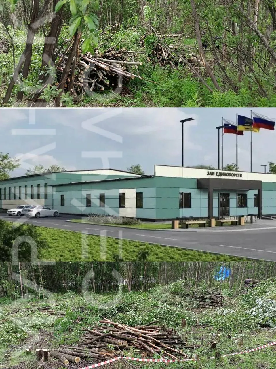 Жители обеспокоены: в Долине Уюта начали массовую вырубку для модульного зала единоборств — власти обещают компенсационное озеленение, но не называют сроков и адресов посадок.