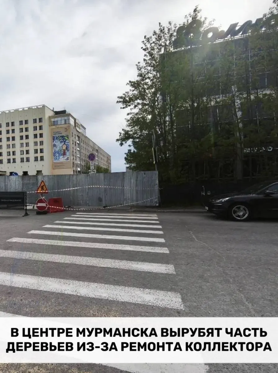 На улице Воровского рядом с торговым центром часть деревьев уберут из‑за аварийного ремонта канализационного коллектора: коммуникации проходят на глубине около четырёх метров, поэтому потребуется траншея.