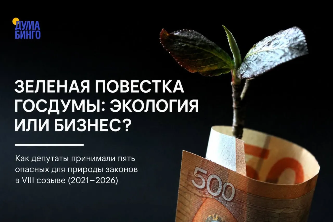 За последние годы в Госдуме были приняты инициативы, которые эксперты считают ослабляющими природоохранное регулирование. Ключевые решения чаще принимает большинство «Единой России», а независимые позиции встречаются редко.
