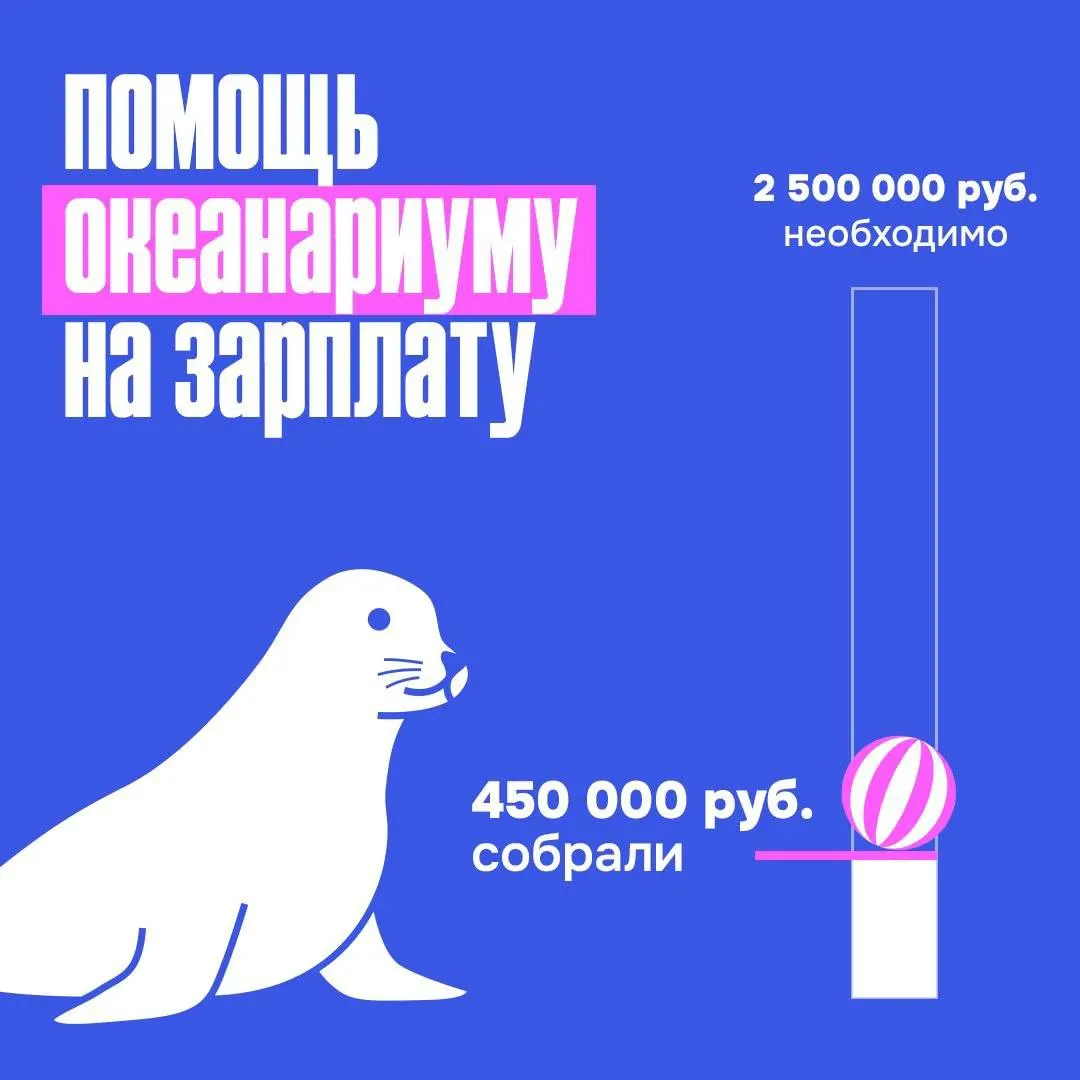 Губернатор, чиновники, неравнодушные жители и бывшие сотрудники внесли пожертвования; также передавали корм, витамины и помогали с ремонтом. Сбор средств на общую сумму 2,5 млн рублей продолжается.