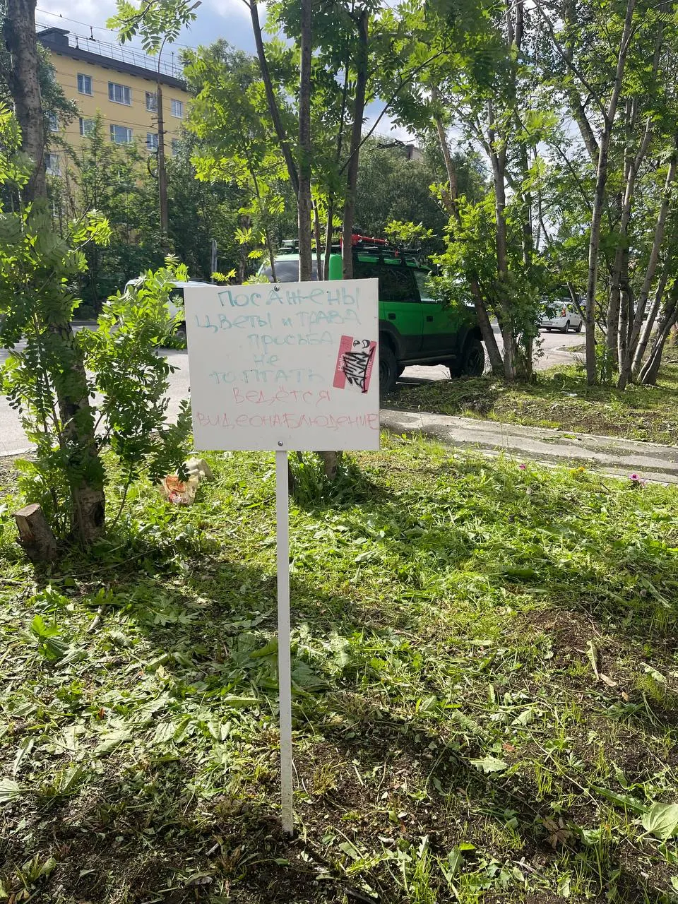 Жители повесили табличку с просьбой не ходить по газону, но во время покоса часть клумб оказалась скошена — где-то травокос прошёлся аккуратно, а где-то нет.