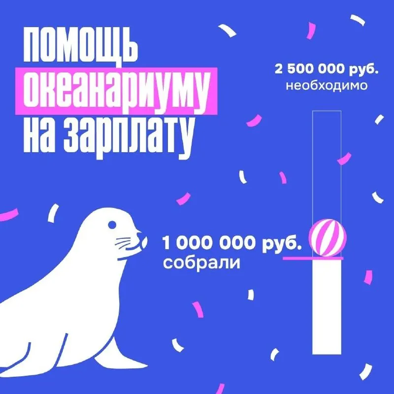 Представители власти, депутаты и неравнодушные жители региона и страны собрали чуть более миллиона рублей в поддержку мурманского океанариума.