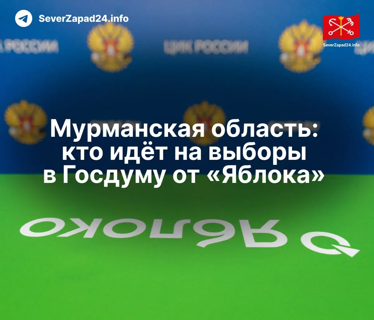 Кандидаты партии Яблоко на выборах в Госдуму в Мурманской области: региональные группы и одномандатные округа.