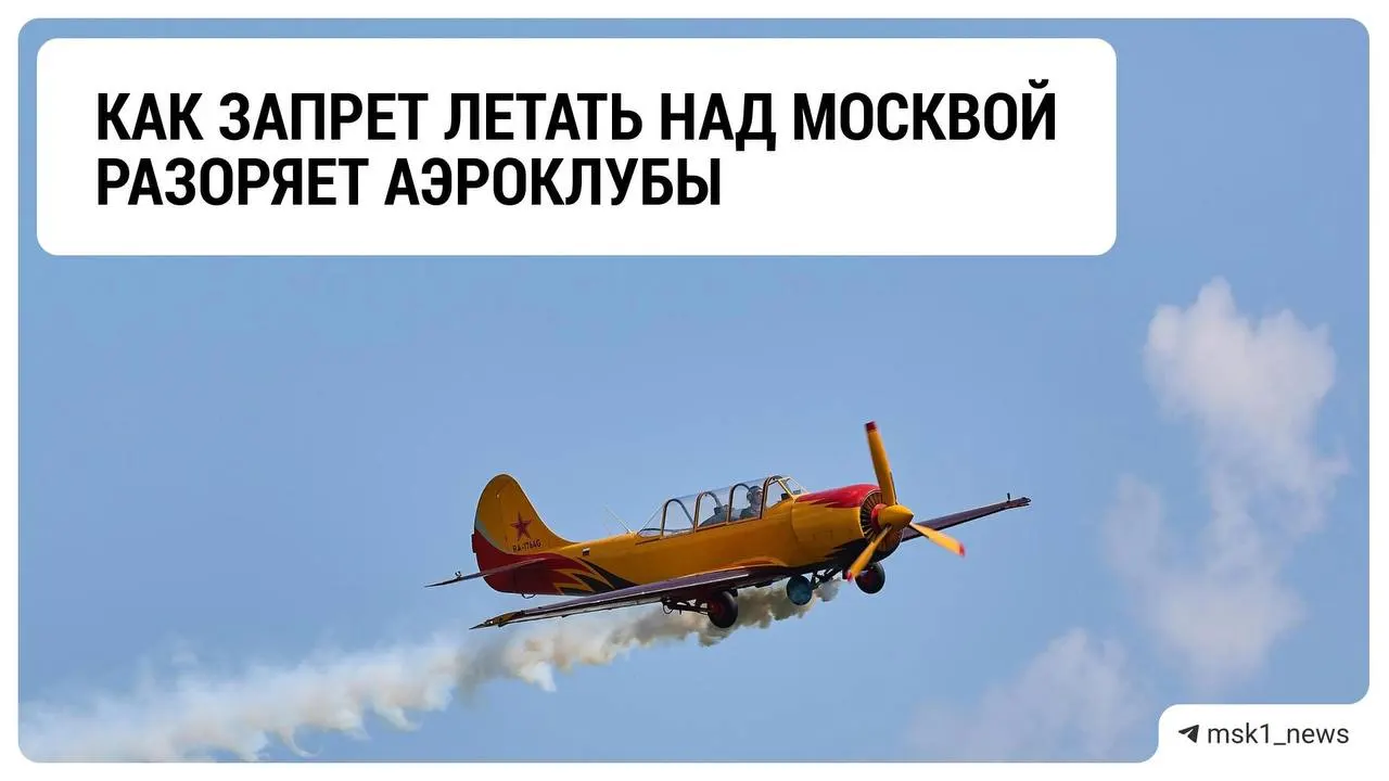 Ограничения на полёты лёгких самолётов над столицей влияют на аэроклубы Подмосковья: бизнес идёт на спад, отрасль ожидает дальнейших шагов.