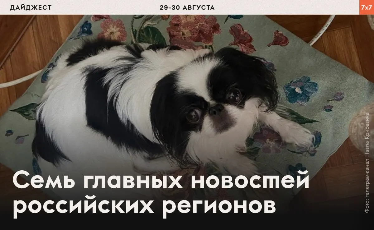 Обзор арестов политических активистов, ограничений на агитацию и региональных мер по всей стране.