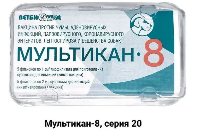 Владельцы животных требуют огласки и независимой проверки после гибели питомцев после вакцинации российским препаратом. Инциденты зафиксированы в нескольких регионах; симптомы напоминают вирус Ауески.