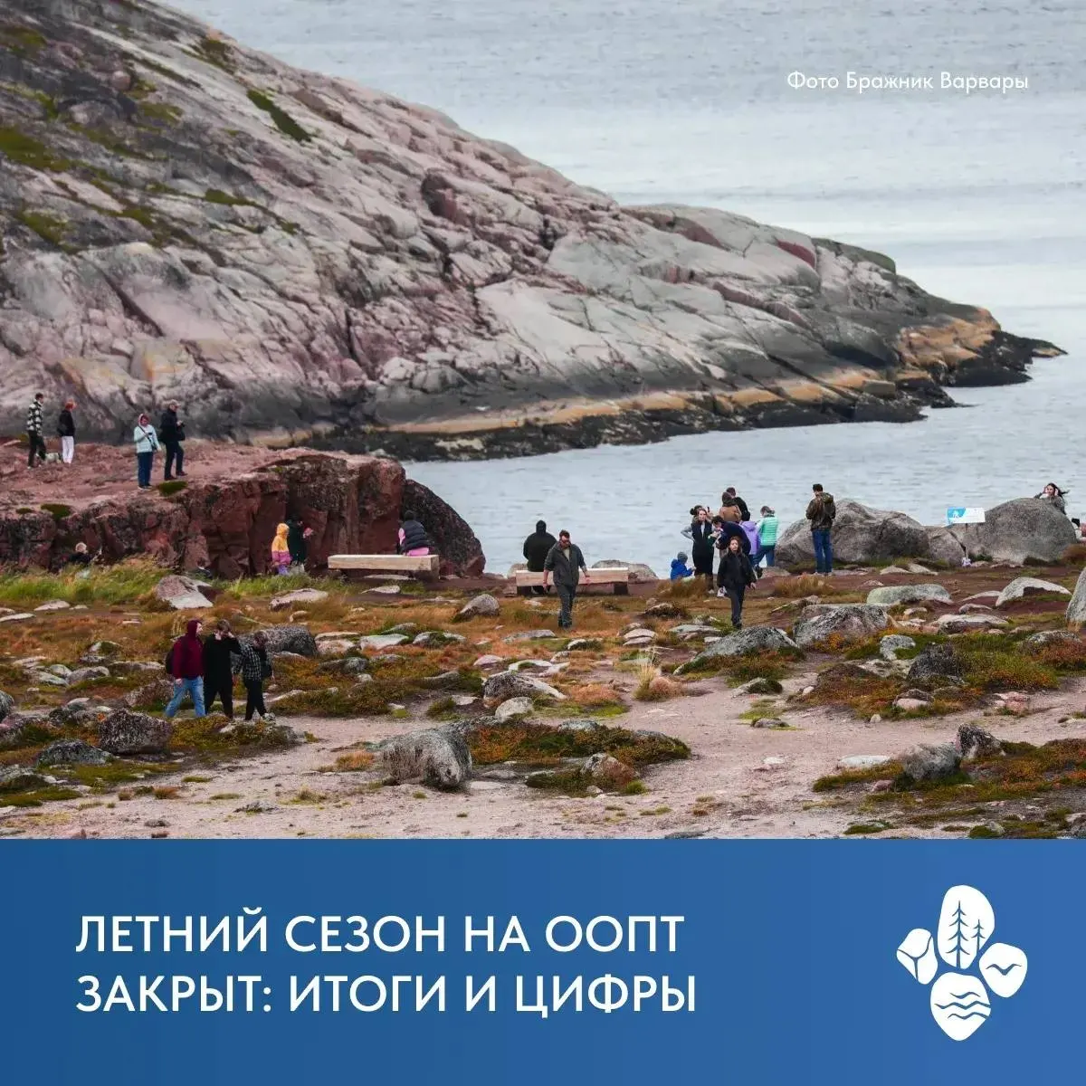 За три месяца заповедники региона приняли свыше 151 тысячи гостей; природный парк «Териберка» лидирует — более 67 тысяч посетителей.