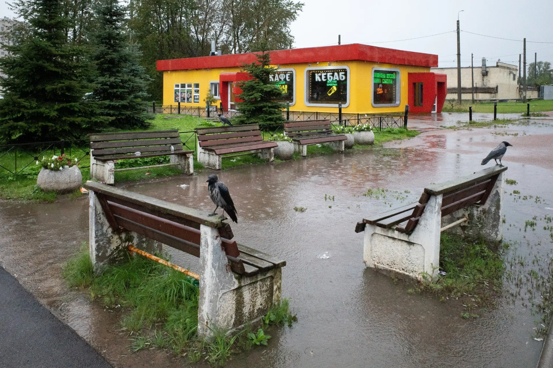 Коротко о главном: в Санкт-Петербурге развёлся экс-депутат Закса Максим Резник; обсуждаются заявления депутатов; далее подборка новостей по России и миру.