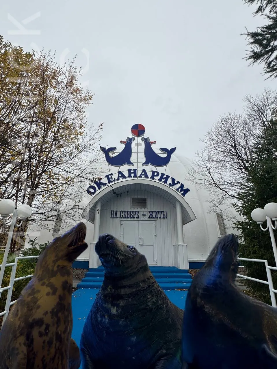 В Мурманске отмечают два юбилея: день города и 30-летие главного символа Заполярья — купола мурманского океанариума.