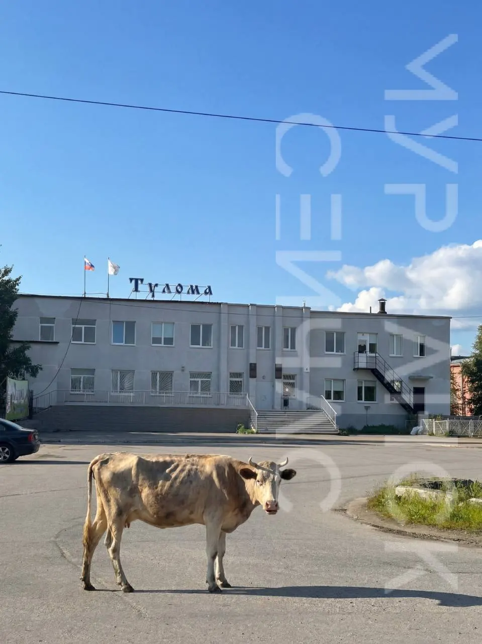 Официальная проверка подтвердила наличие проблем на одном из крупнейших сельхозпредприятий региона; принимаются меры и разрабатывается план по выводу хозяйства из кризиса.